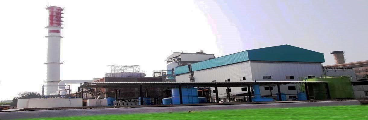 Sugar Plant