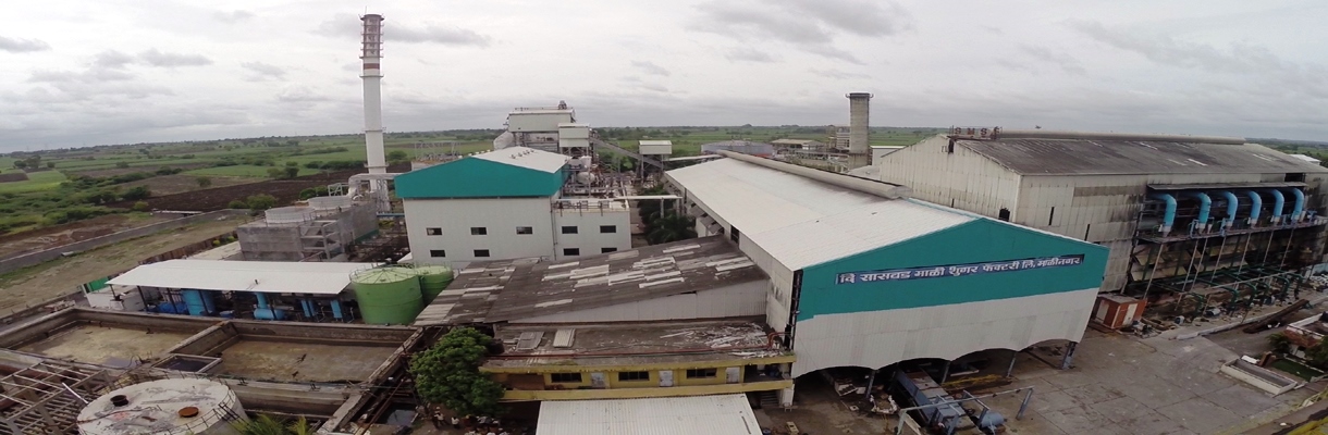 Sugar Plant